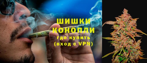 мяу мяу мука Горняк