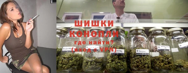 мяу мяу мука Горняк